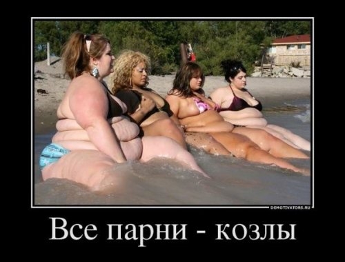 ежедневник наблюдателя