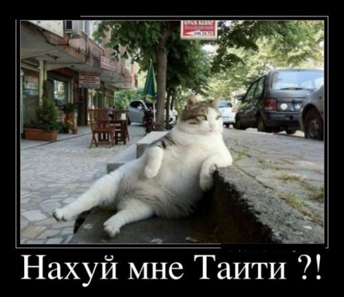 ежедневник наблюдателя