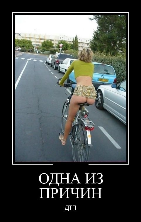 ежедневник наблюдателя