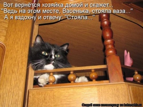 ежедневник наблюдателя