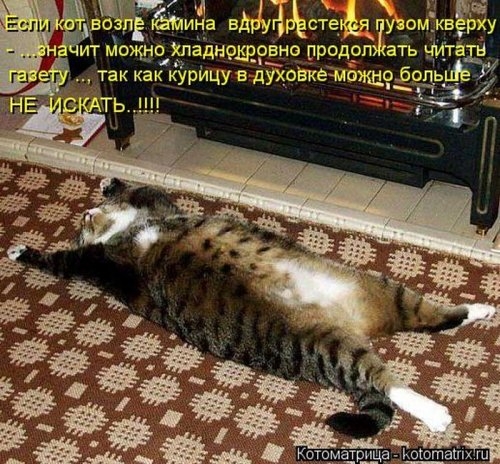ежедневник наблюдателя
