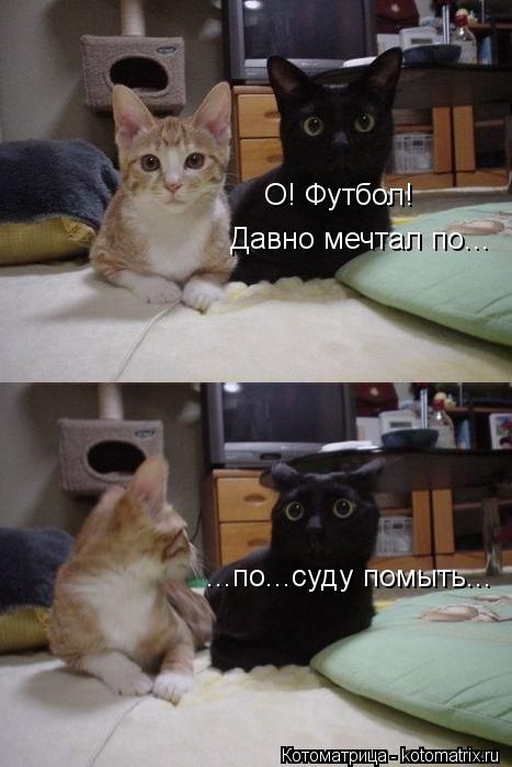ежедневник наблюдателя