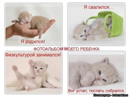 ежедневник наблюдателя