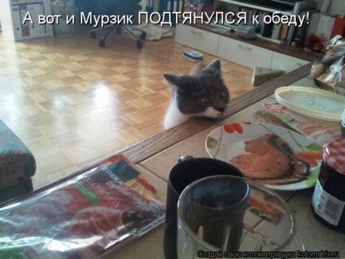 ежедневник наблюдателя