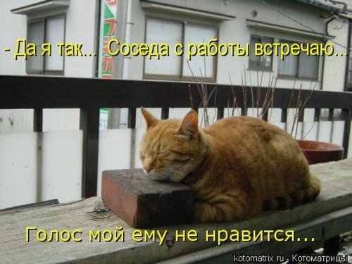 ежедневник наблюдателя