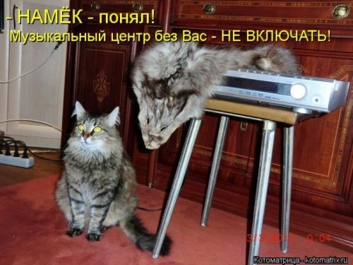 ежедневник наблюдателя