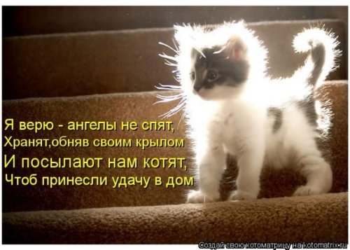 ежедневник наблюдателя