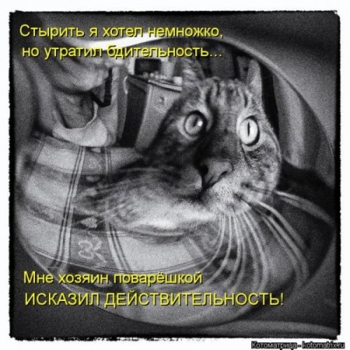 ежедневник наблюдателя