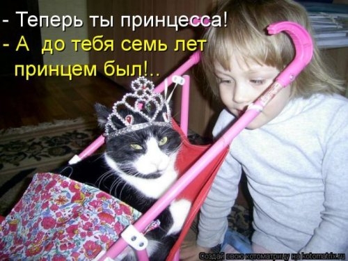 ежедневник наблюдателя