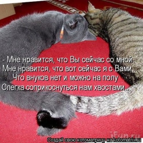 ежедневник наблюдателя