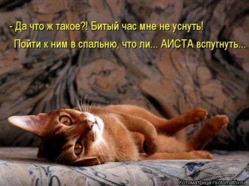 ежедневник наблюдателя