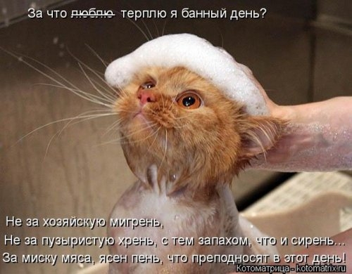 ежедневник наблюдателя