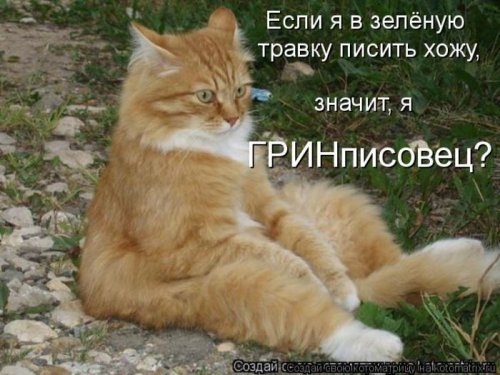 ежедневник наблюдателя