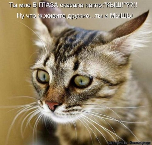 ежедневник наблюдателя