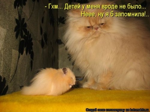 ежедневник наблюдателя