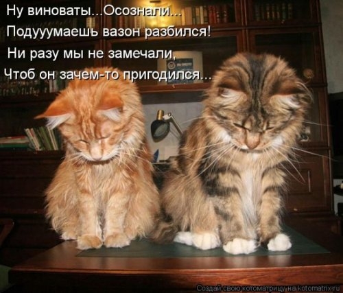 ежедневник наблюдателя