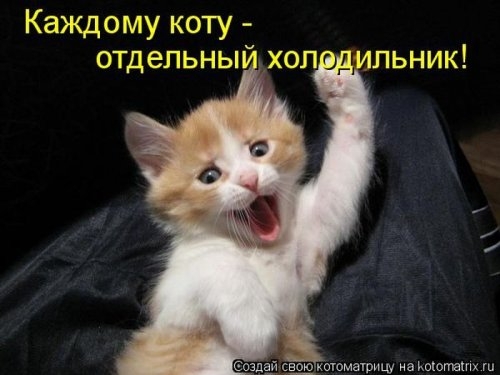 ежедневник наблюдателя