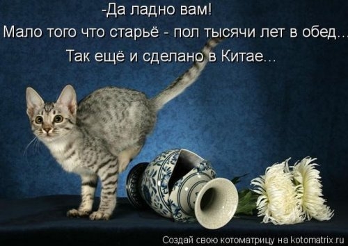 ежедневник наблюдателя
