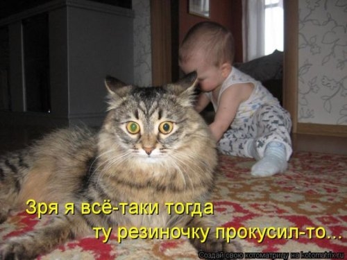 ежедневник наблюдателя