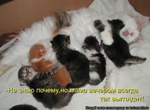 ежедневник наблюдателя