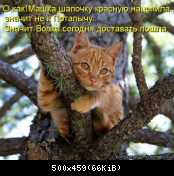 ежедневник наблюдателя