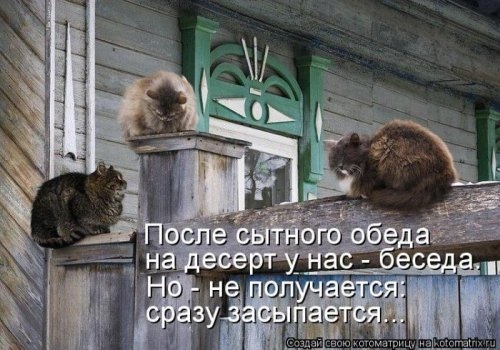 ежедневник наблюдателя