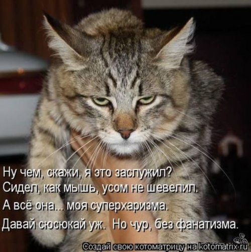 ежедневник наблюдателя