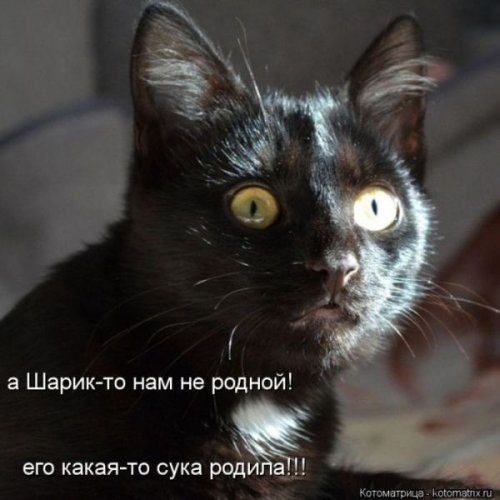 ежедневник наблюдателя