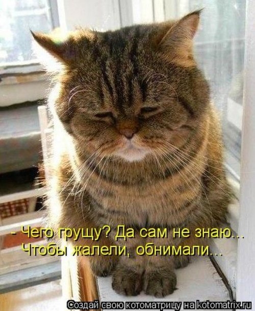 ежедневник наблюдателя