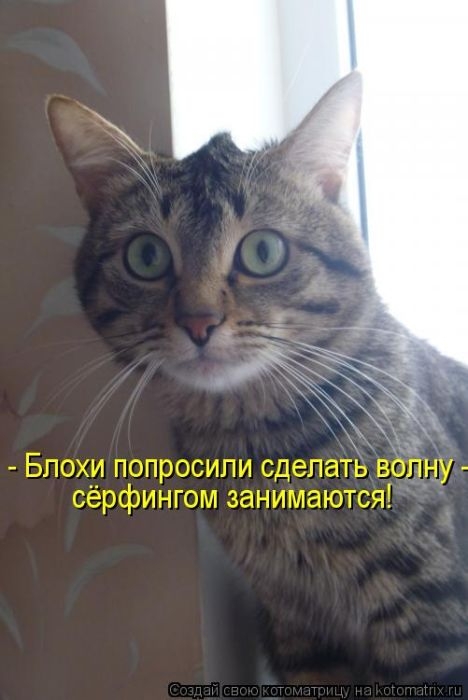ежедневник наблюдателя