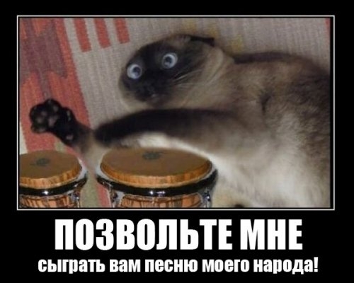 ежедневник наблюдателя