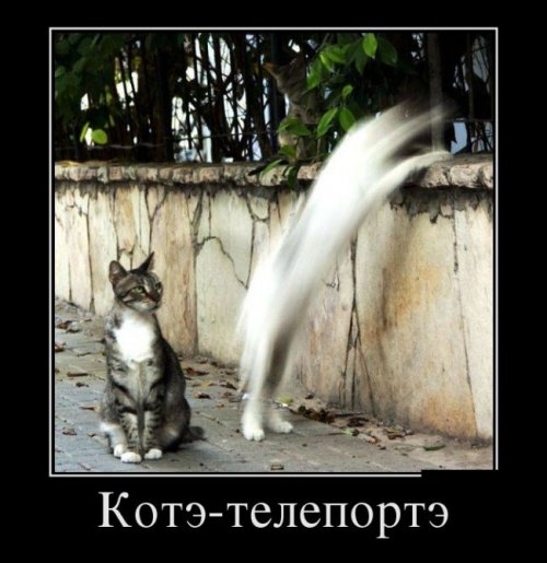 ежедневник наблюдателя