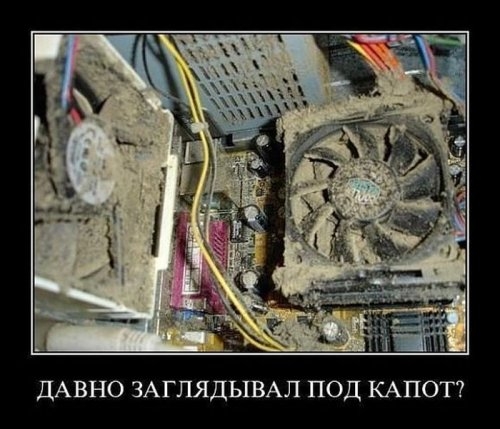 ежедневник наблюдателя