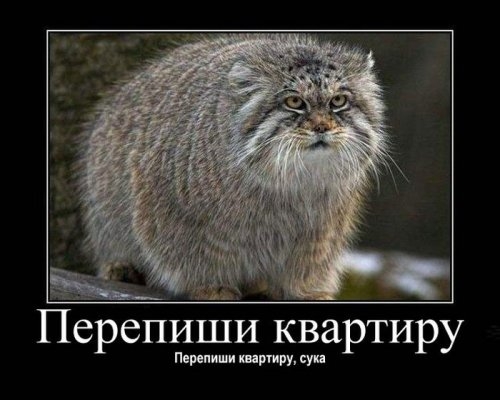 ежедневник наблюдателя