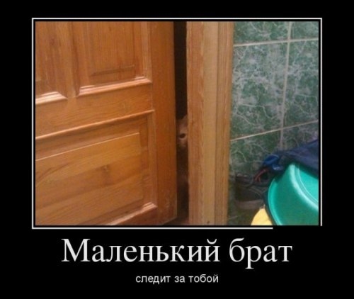 ежедневник наблюдателя