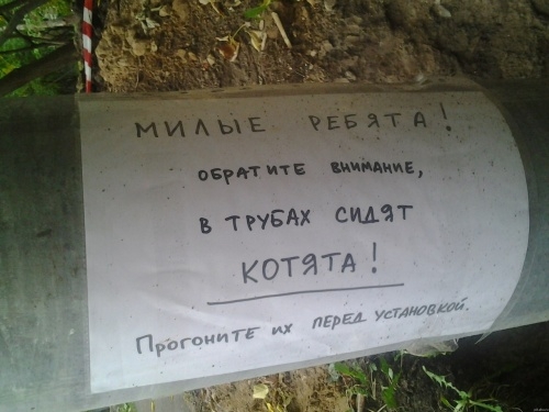 Народное творчество в надписях и объявлениях