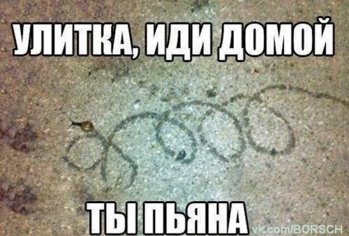 Дневная доза позитива