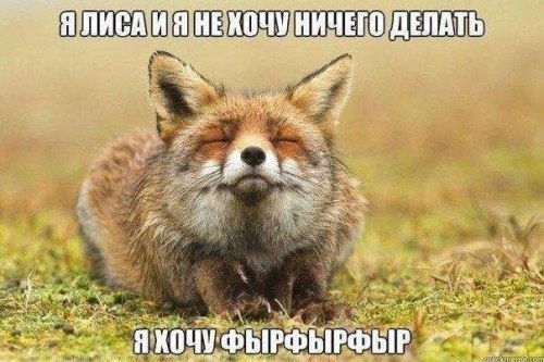 Дневная доза позитива
