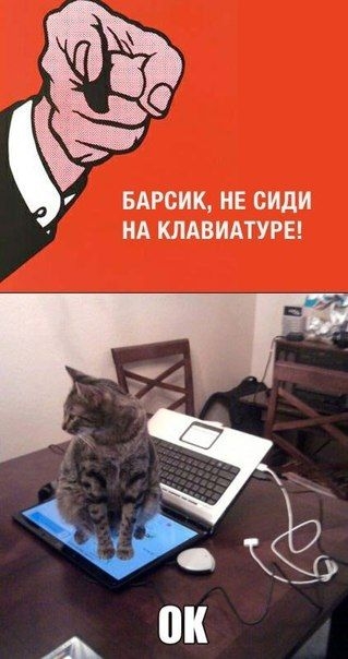 Дневная доза позитива