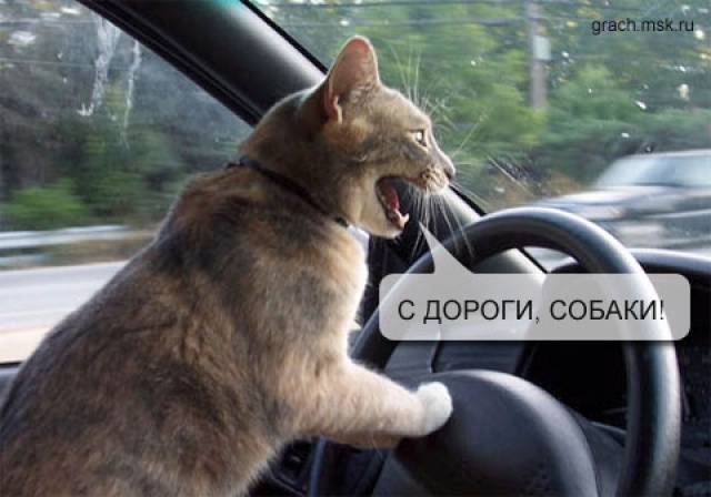 post-48013-1354441162
