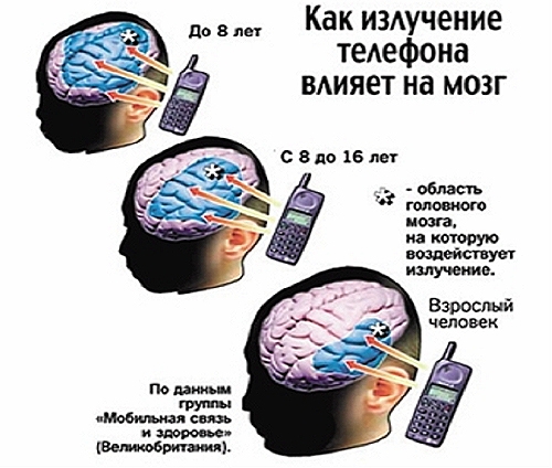 К вопросу о влиянии мобильных телефонов на здоровье человека...