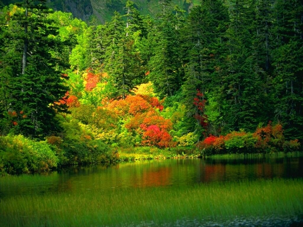 природа