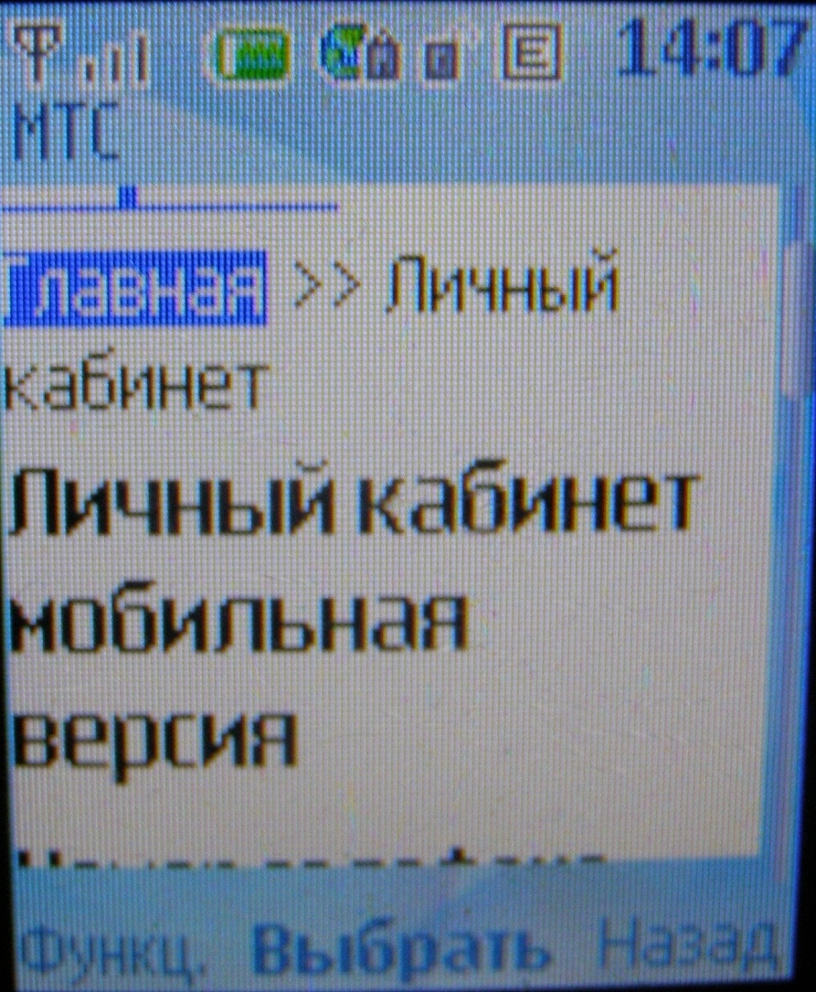Скриншоты мобильных версий личных кабинетов.