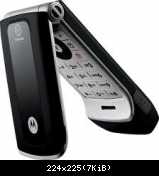 Motorola W375