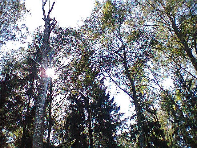 Фото0016.jpg