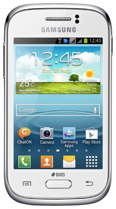 Samsung Galaxy Young S6312 1