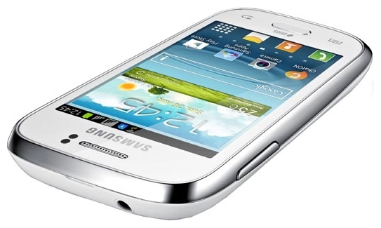 Samsung Galaxy Young S6312 4
