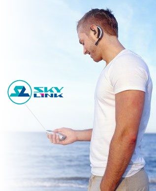 skylink-160507