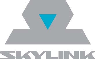 skylink-180909